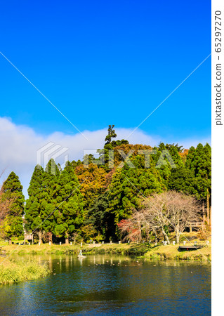 妙神池塘水上公園的秋天風景[熊本縣麻生縣南阿蘇村] 65297270