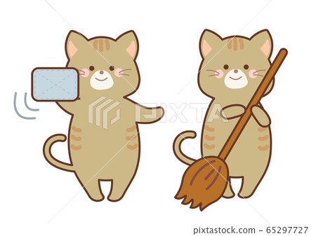 Cat set to clean 65297727