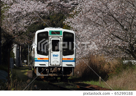 Tenryu Hamanako鐵路TH2100型和櫻花 65299188