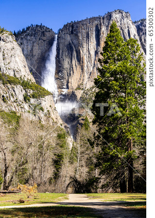 Yosemite Falls 65300302