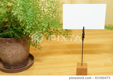 備忘架和室內植物 備忘架和室內植物 65300473