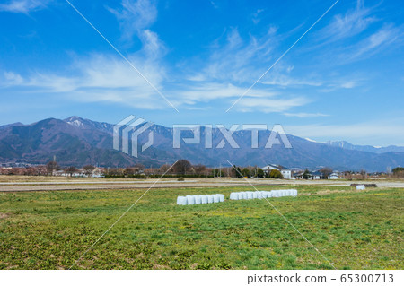 Grass rolls and Tabata: Spring, Matsumoto City 65300713