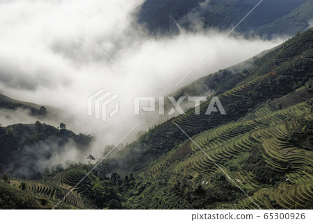 Ta Xua is a famous mountain range in northern Ta Xua is a famous mountain range in northern 65300926