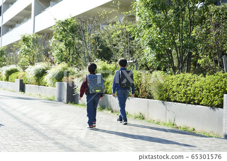 小學生回到學校 小學生回到學校 65301576