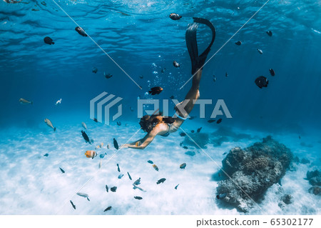 Free diver girl with fins glides over sandy bottom with tropical fishes in blue ocean Free diver girl with fins glides over sandy bottom with tropical fishes in blue ocean 65302177