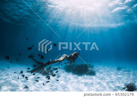 Free diver girl with fins glides over sandy bottom with tropical fishes in blue ocean Free diver girl with fins glides over sandy bottom with tropical fishes in blue ocean 65302179
