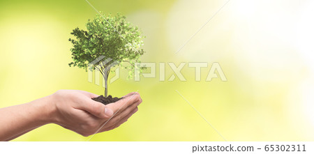 Hand holding tree. Save nature, ecology concept Hand holding tree. Save nature, ecology concept 65302311