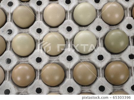 pheasant eggs in studio 65303396