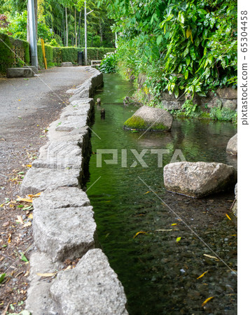 57 springs in the Kokubunji Cliff Line, the famous spring waters in Tokyo 57 springs in the Kokubunji Cliff Line, the famous spring waters in Tokyo 65304458