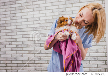 attractive female groomer enjoy working with pets 65305390