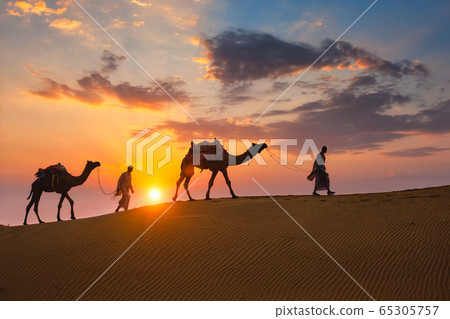 Indian cameleers camel driver with camel silhouettes in dunes on sunset. Jaisalmer, Rajasthan, India 65305757
