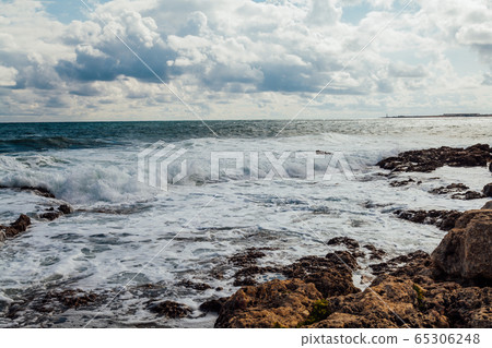 Stone Beach sea coast storm and bird Stone Beach sea coast storm and bird 65306248