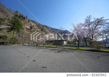 櫻花奧多摩湖大麥大園停車場 65307041