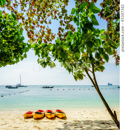 Kayaks on the beach 65307382