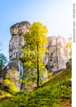 Monumental sandstone rock formation in the miidle of spring forest of Bohemian Paradise, Czech: Cesky raj, Czech Republic 65308140