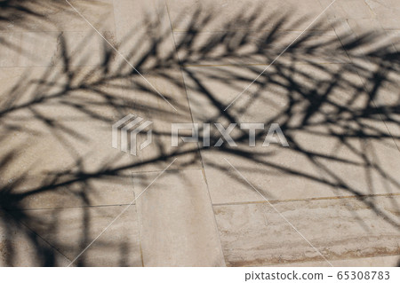 Date palm leaves shadows on beige marble stone ground background. Dark silhouettes of exotic leaves in bright sunlight. Summer vacation concept. Flat lay, top view. Date palm leaves shadows on beige marble stone ground background. Dark silhouettes of exotic leaves in bright sunlight. Summer vacation concept. Flat lay, top view. 65308783