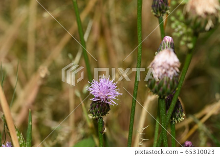 福克斯迫擊砲 65310023