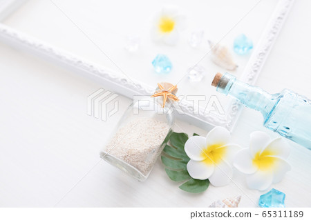 夏天形象貝殼和雞蛋花 夏天形象貝殼和雞蛋花 65311189