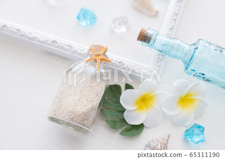 夏天形象貝殼和雞蛋花 夏天形象貝殼和雞蛋花 65311190
