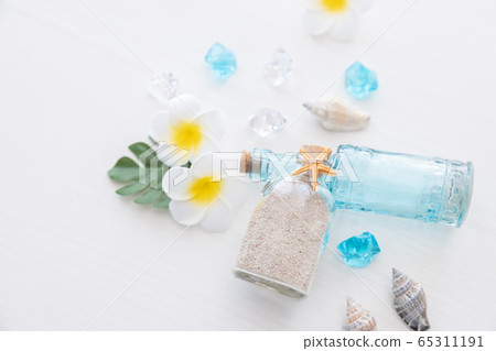 夏天形象貝殼和雞蛋花 夏天形象貝殼和雞蛋花 65311191
