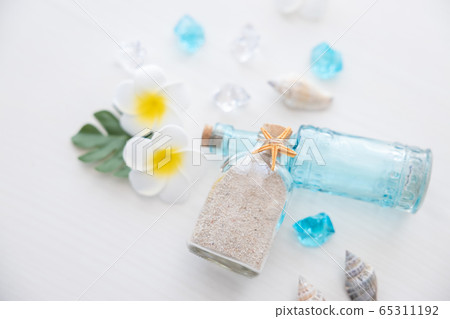 夏天形象貝殼和雞蛋花 夏天形象貝殼和雞蛋花 65311192