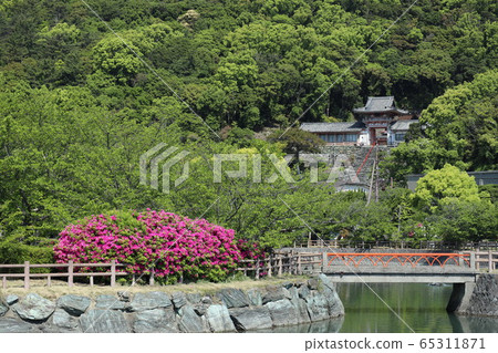 Wakaura Tenmangu in early summer 65311871