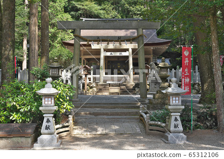 [Nyu神社]三重縣多木市Nyu 65312106