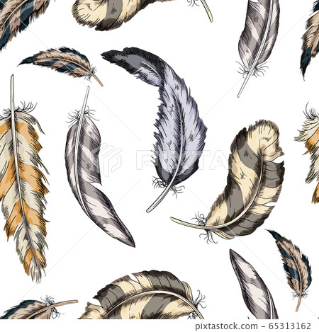 Vector colorful seamless pattern feathers bird on a white background. Vector colorful seamless pattern feathers bird on a white background. 65313162