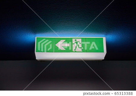 Emergency Exit Sign 65313388