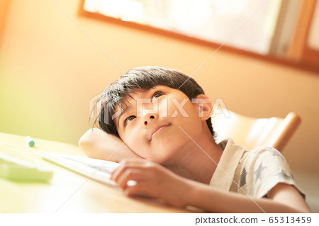 elementary school boy elementary school boy 65313459