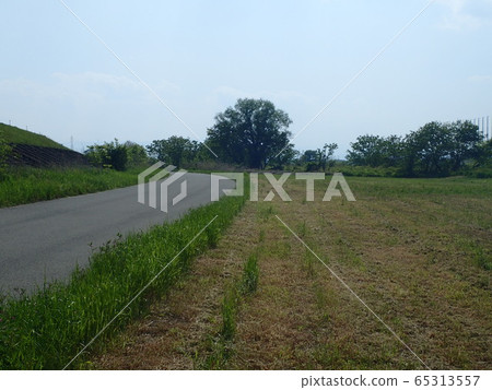 Riverbed Riverbed 65313557