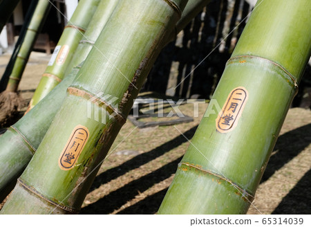 A torches used for Niji Nigatsudo Shujikai A torches used for Niji Nigatsudo Shujikai 65314039