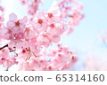 櫻桃樹 65314160
