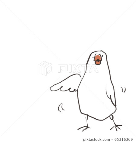 White swan that dances with its wings spread on a white background 65316369