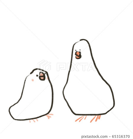 Two swan birds with physique on white background Two swan birds with physique on white background 65316370