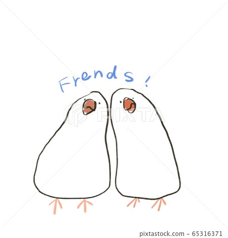 Two swan birds nestling on a white background (text available) Two swan birds nestling on a white background (text available) 65316371