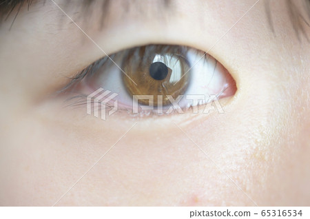 Eye up 65316534