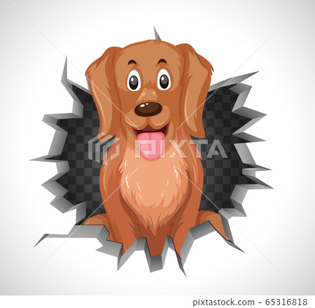Cute dog coming out of cracked wall Cute dog coming out of cracked wall 65316818