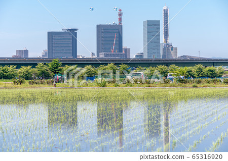 玉市ita玉市Minuma Paddy Paddy Field和Sa玉神社 65316920