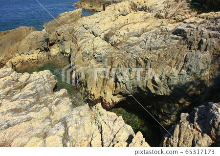 17 Aug 2008  summer of Port Shelter at Little Palm 65317173