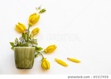 yellow flowers ylang ylang, little purple flowers local flora of asia with cup in spring season 65317459