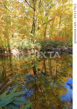 托託山谷的秋天 65317922