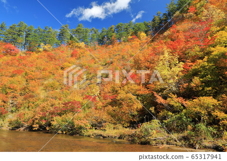 托託山谷的秋天 65317941