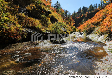 托託山谷的秋天 托託山谷的秋天 65317942