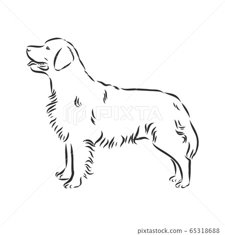 Decorative portrait of standing in profile dog 65318688