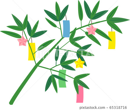Tanabata material decoration bamboo bamboo Tanabata material decoration bamboo bamboo 65318716