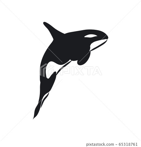 orca outline