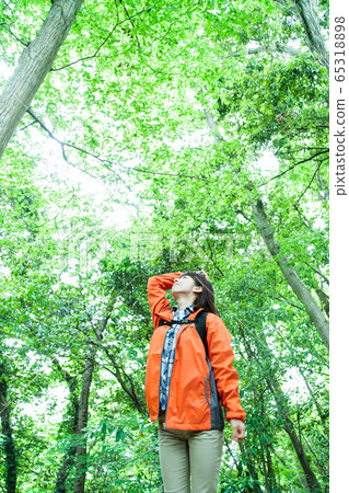 登山婦女山女孩遷徙的登山室外遠足 65318898