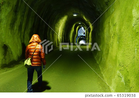 可怕的隧道 65319038