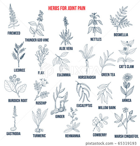 Best herbs for joint pain 65319193
